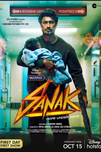 Download Sanak (2021) Hindi Movie Web – DL || 480p [400MB] || 720p [950MB] || 1080p [2.8GB]